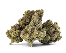 Energizer Bunnies - 7g