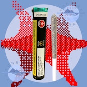 JACK HERER - STATION HOUSE - 1X0.5G