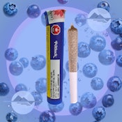 BLUEBERRY TART - POTLUCK - 1X0.5G