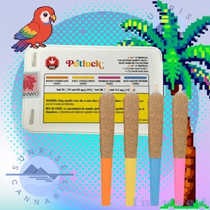 Potluck - TROPICAL X BURST COLLECTION VARIETY - POTLUCK - 4X0.5G