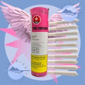 PINK KUSH - PURE SUNFARMS - 10X0.3G