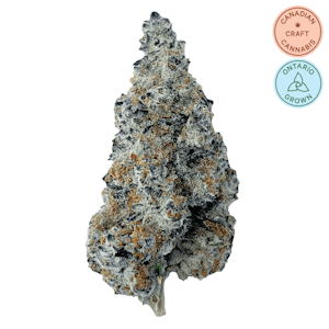 The Florist - Slurriboof 7g