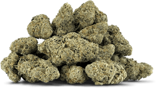 COMFORTABLY NUMB - 28