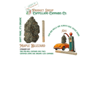 MAPLE BLIZZARD PRE-ROLLS - 10X0.5G