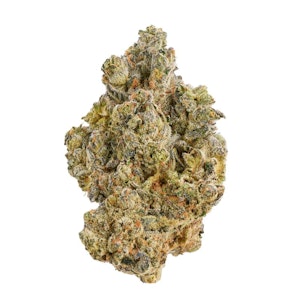 Broken Coast - La Bomba