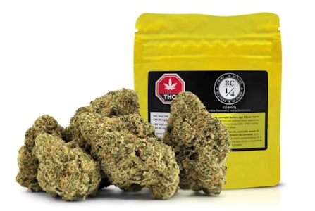 BC 1/4 - BC 1/4 G13 BX1 7g