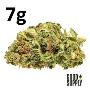 Good Supply - GOOD SUPPLY - JEAN GUY - 7 GRAM