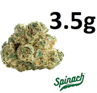 Spinach - SPINACH - SPACE CAKE - 3.5 GRAM