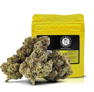 BC 1/4 - Energizer Bunnies - 7g