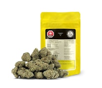 COMFORTABLY NUMB - 28G