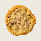Chocolate Chip Cookie 10mg THC