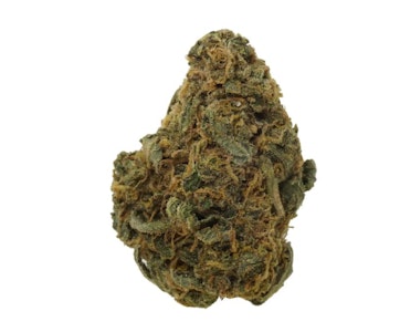 Always Hi - DURBAN POISON - 14G