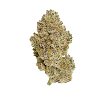 Choklit Park Top Shelf - GOLDEN PINEAPPLE WHOLE FLOWER - 7G