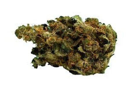 Always Hi - JACK HERER - 14G