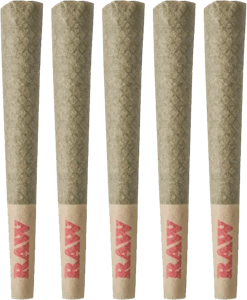 Tribal - Tribal - Porto Leche Pre-Rolls 5x0.6g | 3g