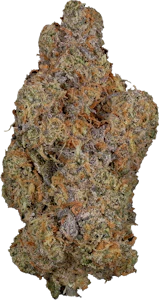 Woody Nelson - Woody Nelson - Country Club (Cactus Milk) | 14g