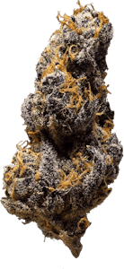 3rd Coast Genetics - 3rd Coast Genetics - Black Cheese | 7g