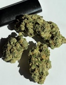 White OG (7g) - North 40 Micro Series