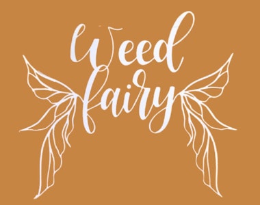 Weed Fairy - White Cookies (3.5g) - Weed Fairy