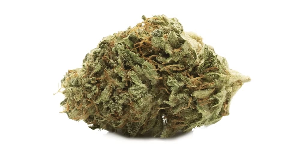 Gluerangutan Smalls 3.5g Dried Flower by Good Buds