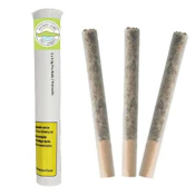 COASTAL FOG PR 3X0.5G