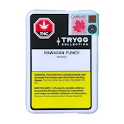 HAWAIIAN PUNCH 10X0.4G