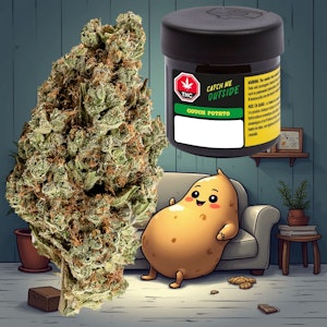 Catch Me Outside - Couch Potato 14g Dried Flower (Cement Shoes)