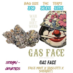 Sixty Seven Sins - Gas Face 3.5g Dried Flower (BISCOTTI X SHERB)