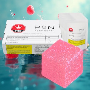 Port North - WATERMELON HASHERS MULTI-PACK 10x1 Pack Soft Chews