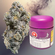 Hindu Glue- (Hindu Kush X Purple Afghani X GG) 3.5g Flower