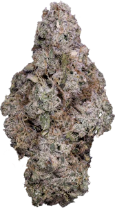 Tribal - Tribal - Porto Leche | 3.5g