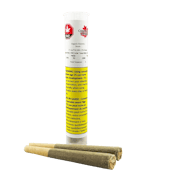 Organic Electric Skunk