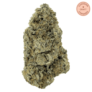 Woody Nelson - Rotating Payload 14g | Rainbow Driver