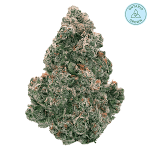 Back Forty - Liquid Imagination 28g