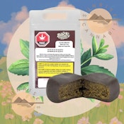 KUSH MINTS GUMMY HASH - BACK COUNTRY ORGANICS - 2G