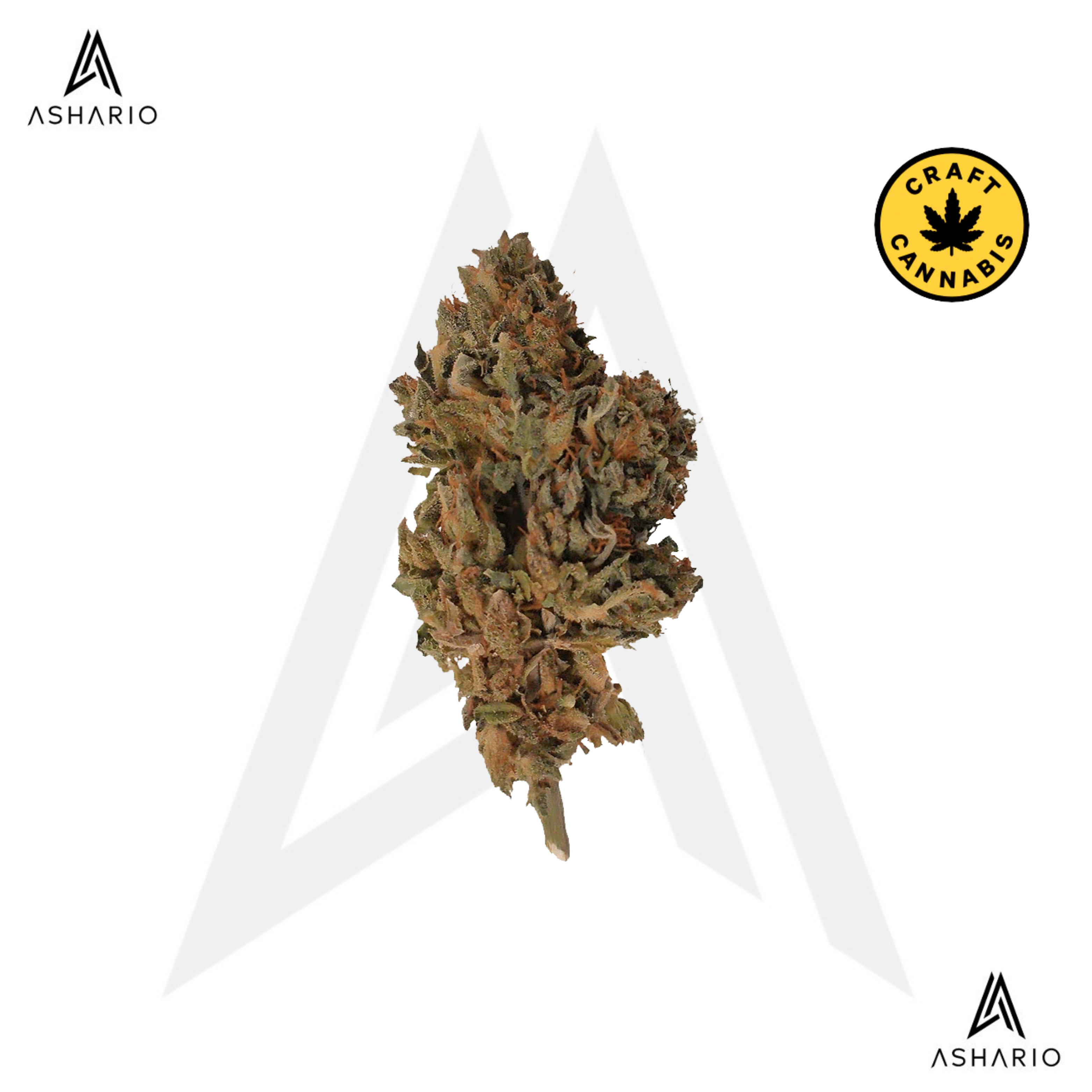 Ambassador Organic Craft CBD | 7g