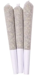 West Blvd Cannabis - Razzle Dazzle Terpene Infused Pre-Rolls - 0.5g x 3