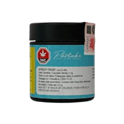 Apricot Frost 28g Dried Flower