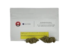 BlueThera Do-Si-Dos Hi 28g Dried Flower