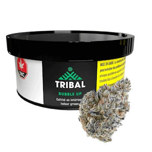 TRIBAL - Bubble Up 3.5g Dried Flower