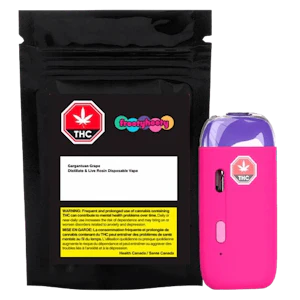 frootyhooty - froothooty All-In-One Gargantuan Grape Live Rosin 1g Disposable Vape Pen