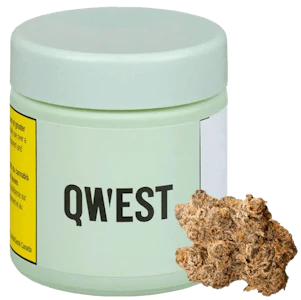 Qwest - Qwest - Grape Cream Cake 3.5g Dried Flower - Indica