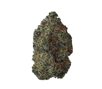 Cappellano Cannabis Co. - ORGANIC (LSO) MAPLE BLIZZARD - 7G