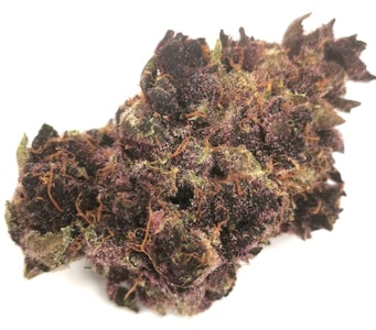 Orchard - Tropical Cherry - 7g