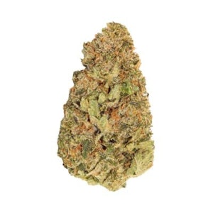 Good Supply - GOOD SUPPLY - Where's My Bike 28g