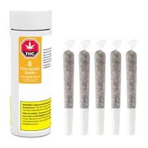 Pineapple Buds - Pineapple Buds | PINEAPPLE HAZE PRE-ROLLS | 5 x 0.5g