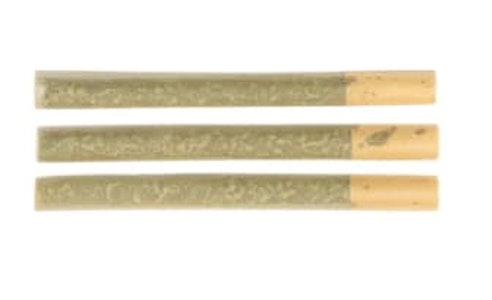 Salt Spring Magic - HELLA JELLA PRE-ROLLS LTO - 3 x 0.5g