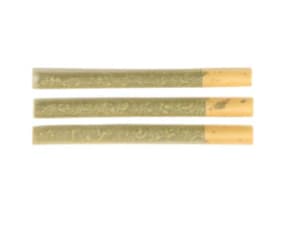 SALT SPRING MAGIC | HELLA JELLA PRE-ROLLS LTO - 1.5