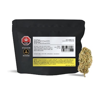 Station House - Jack Herer - 14g