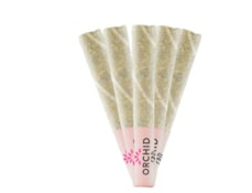 Orchid CBD - CBD Runtz Pre-Rolls - 5x0.6g